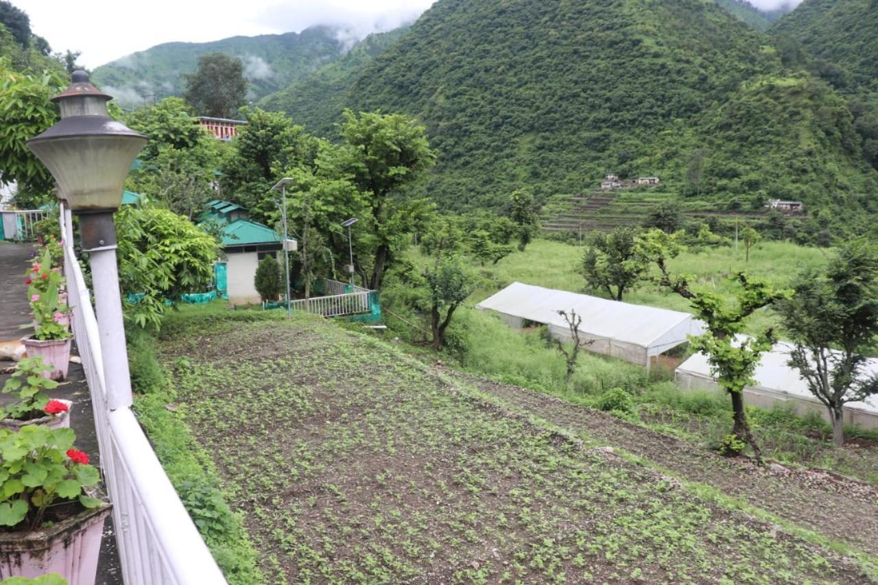 Kalindi Nature Resort Lakhamandal Myani 外观 照片